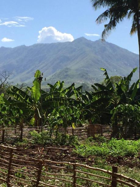 Simbamwenni Lodge And Camping Morogoro Dış mekan fotoğraf