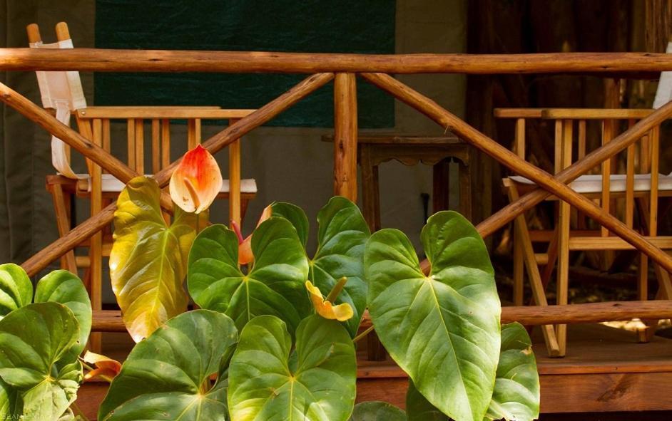 Simbamwenni Lodge And Camping Morogoro Dış mekan fotoğraf