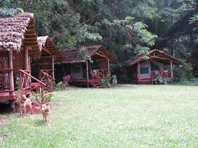 Simbamwenni Lodge And Camping Morogoro Dış mekan fotoğraf