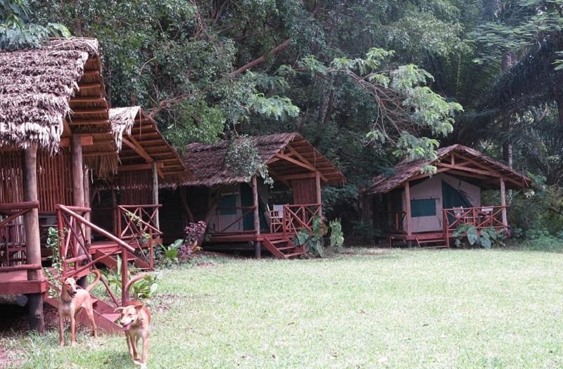 Simbamwenni Lodge And Camping Morogoro Dış mekan fotoğraf