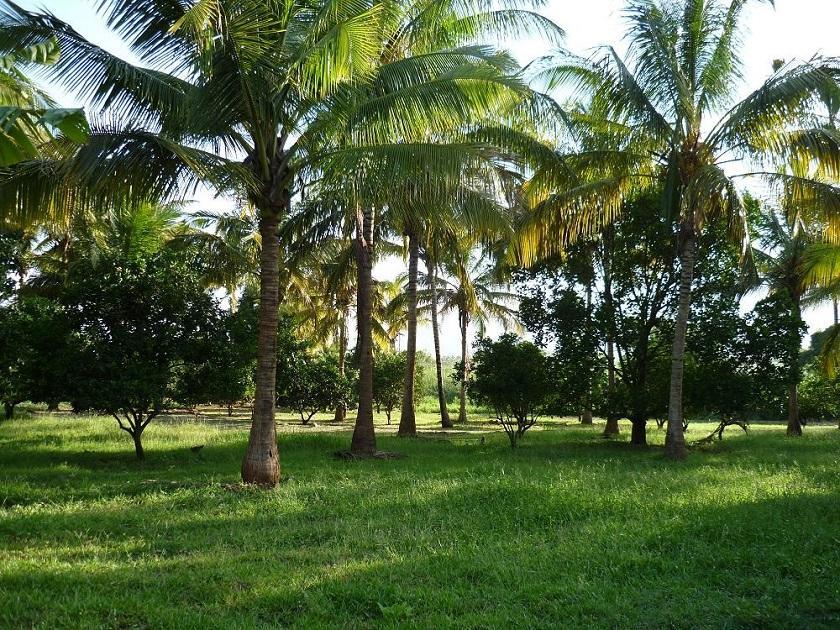 Simbamwenni Lodge And Camping Morogoro Dış mekan fotoğraf